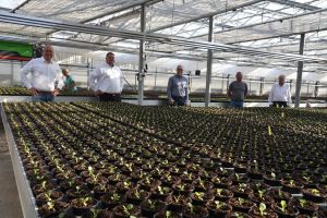 Bundestagsbewerber Bormann und örtliche CDU besuchen das mittelständische Unternehmen